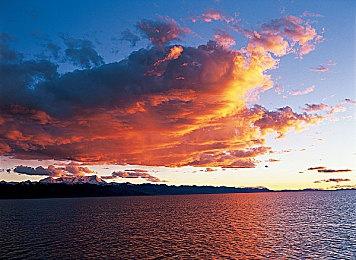 《黎明杀机》新章节“贞子再临”今日发售，本体游戏低至五折